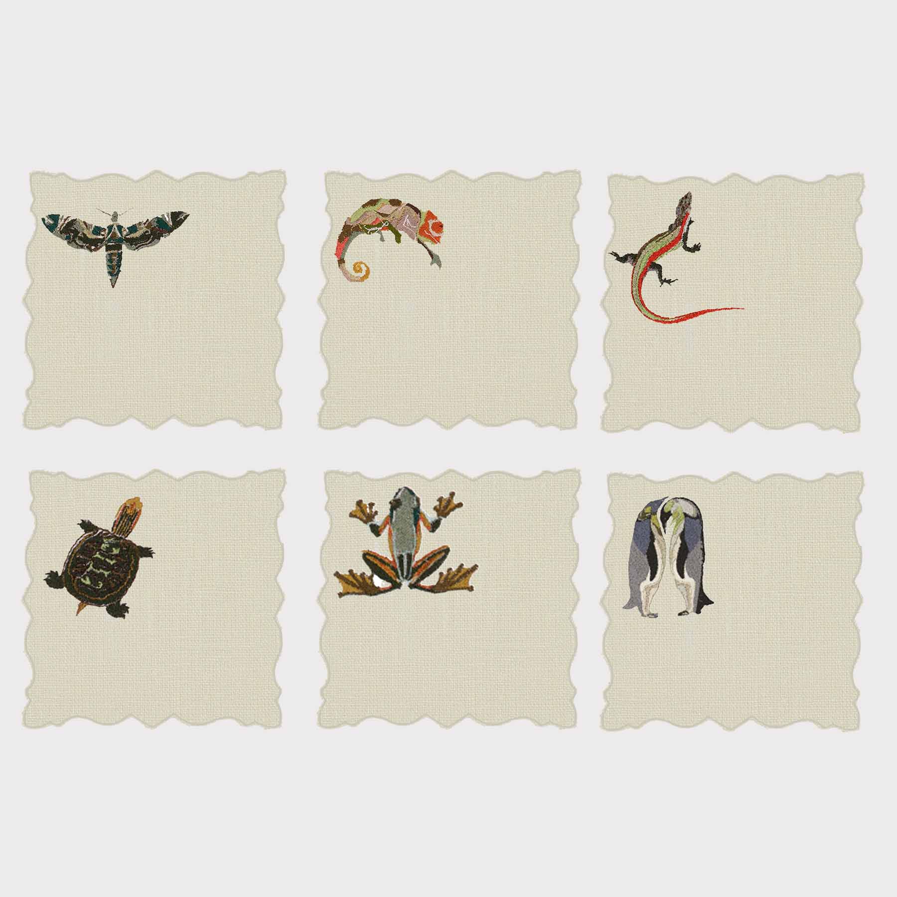 Exotic Animals Angelina Coaster (Set of 6)