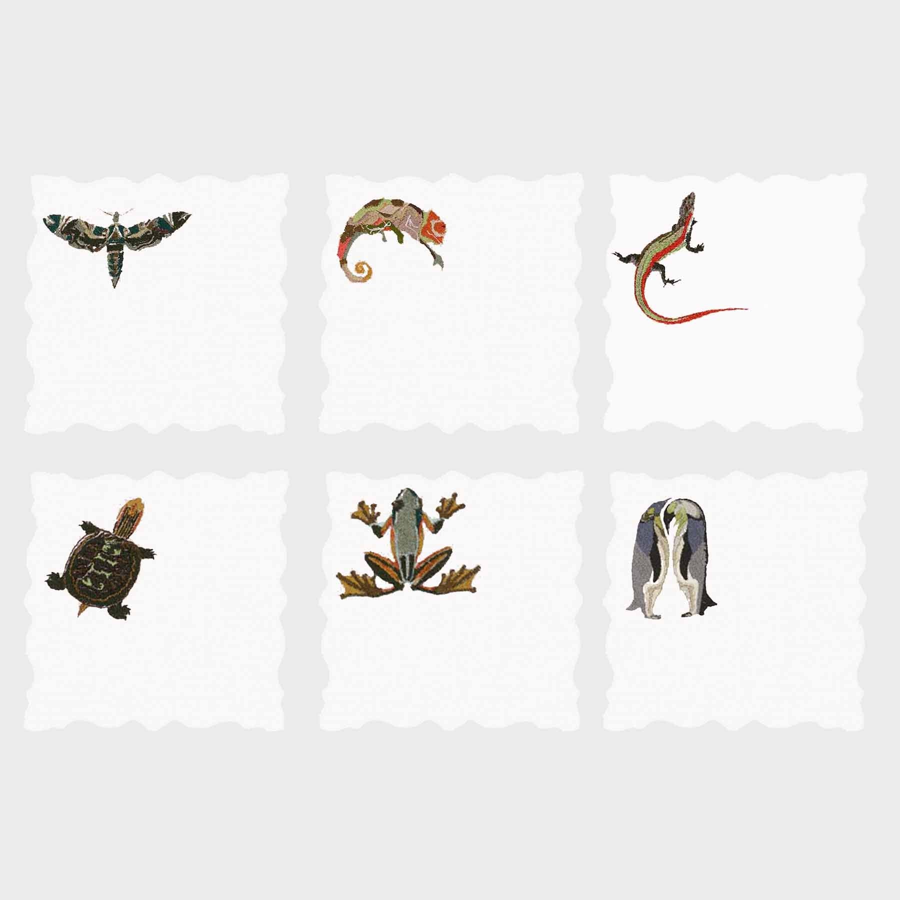 Exotic Animals Angelina Coaster (Set of 6)