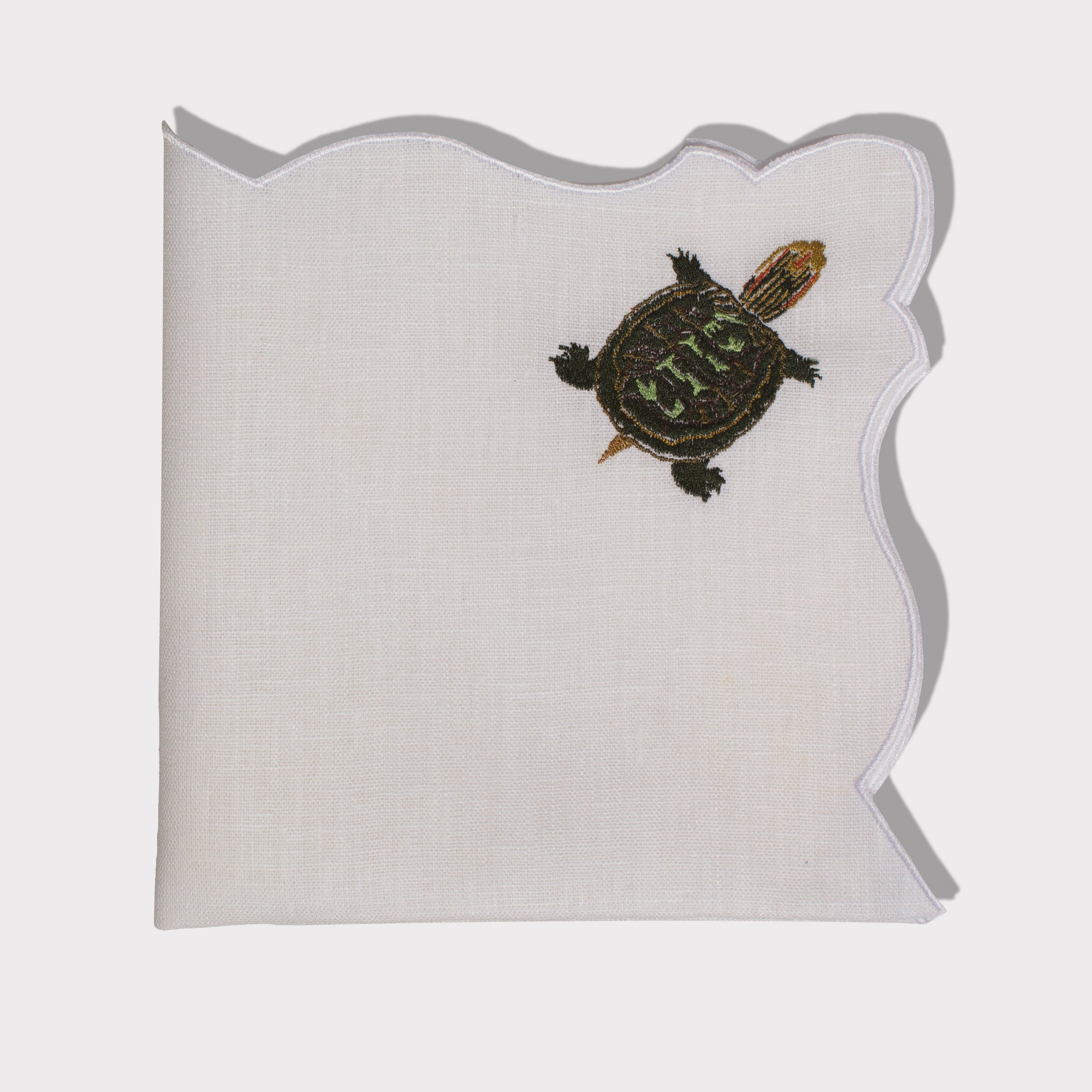 #motif_turtle