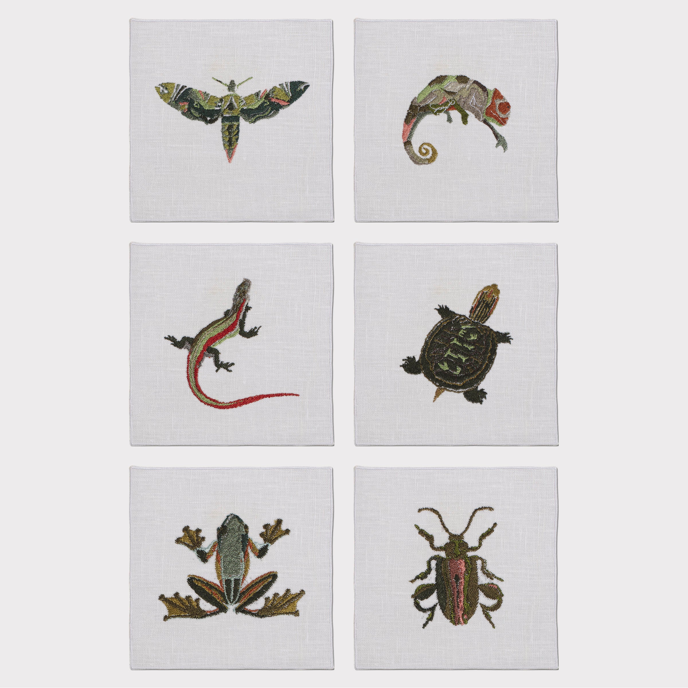 Exotic Animals Quadro Coaster (Set of 6)