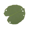 Tovaglietta Foglia Monstera Verde